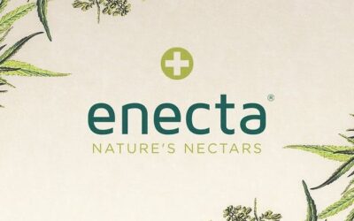 Enecta: Unlocking a Symphony of Discounts and Premium CBD Delights