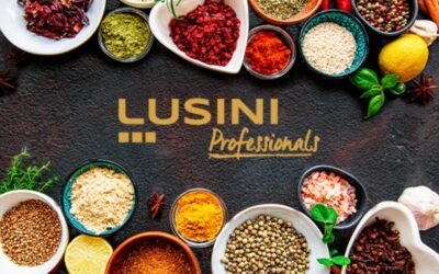 Elevating Hospitality Success: A Deep Dive into Lusini’s Rewarding Bonus Program