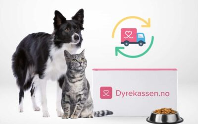 Auto-Påfyll: Revolutionizing Pet Care with Automatic Delivery Service from Dyrekassen.no