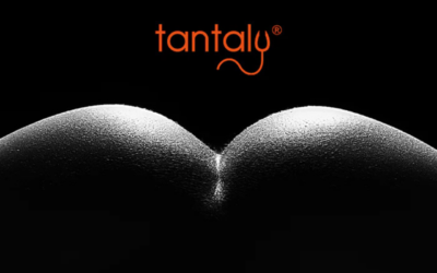 Unveiling Tantaly’s Latest Updates and Irresistible Winter Discounts