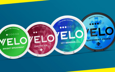 Snushof – The Ultimate Destination for Premium Snus & Nicotine Pouches