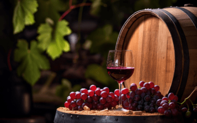 Svinando – The Ultimate Destination for Premium Wines at Affordable Prices