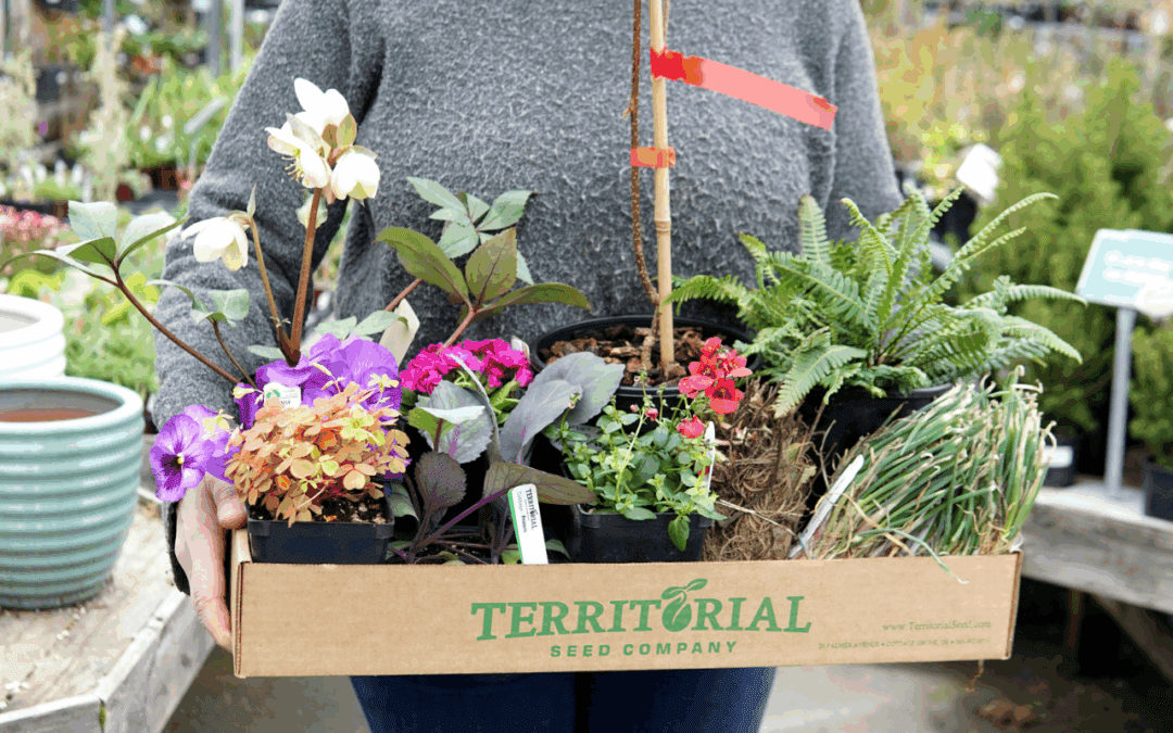 Territorial Seed Company – Helping America Grow Since 1979