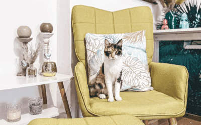 VidaXL Spring Sale is Here – Big Style. Bigger Discounts. Your Home & Garden Will Thank You