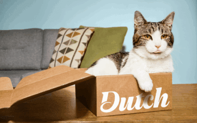 Dutch Pet – Smarter Care for Modern Pets and Pet Parents